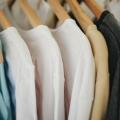 Why Wearing 100% Cotton T-Shirts is a Game Changer – HANBharat EXIM’s Insight